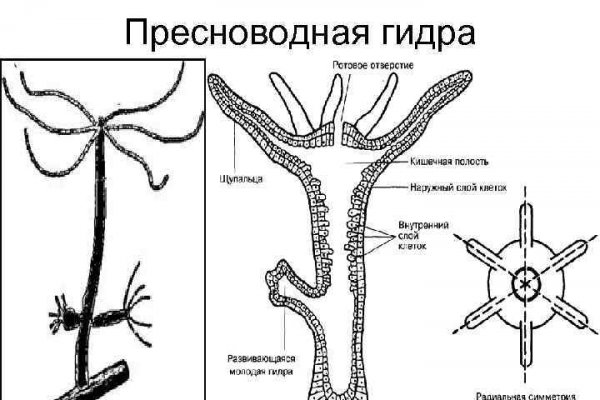 Кракен ссылка kra