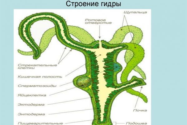 Ссылка на кракен kr2web in