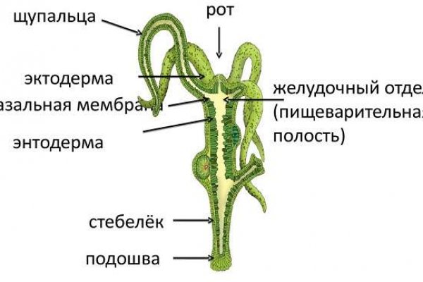 Нарко маркетплейс